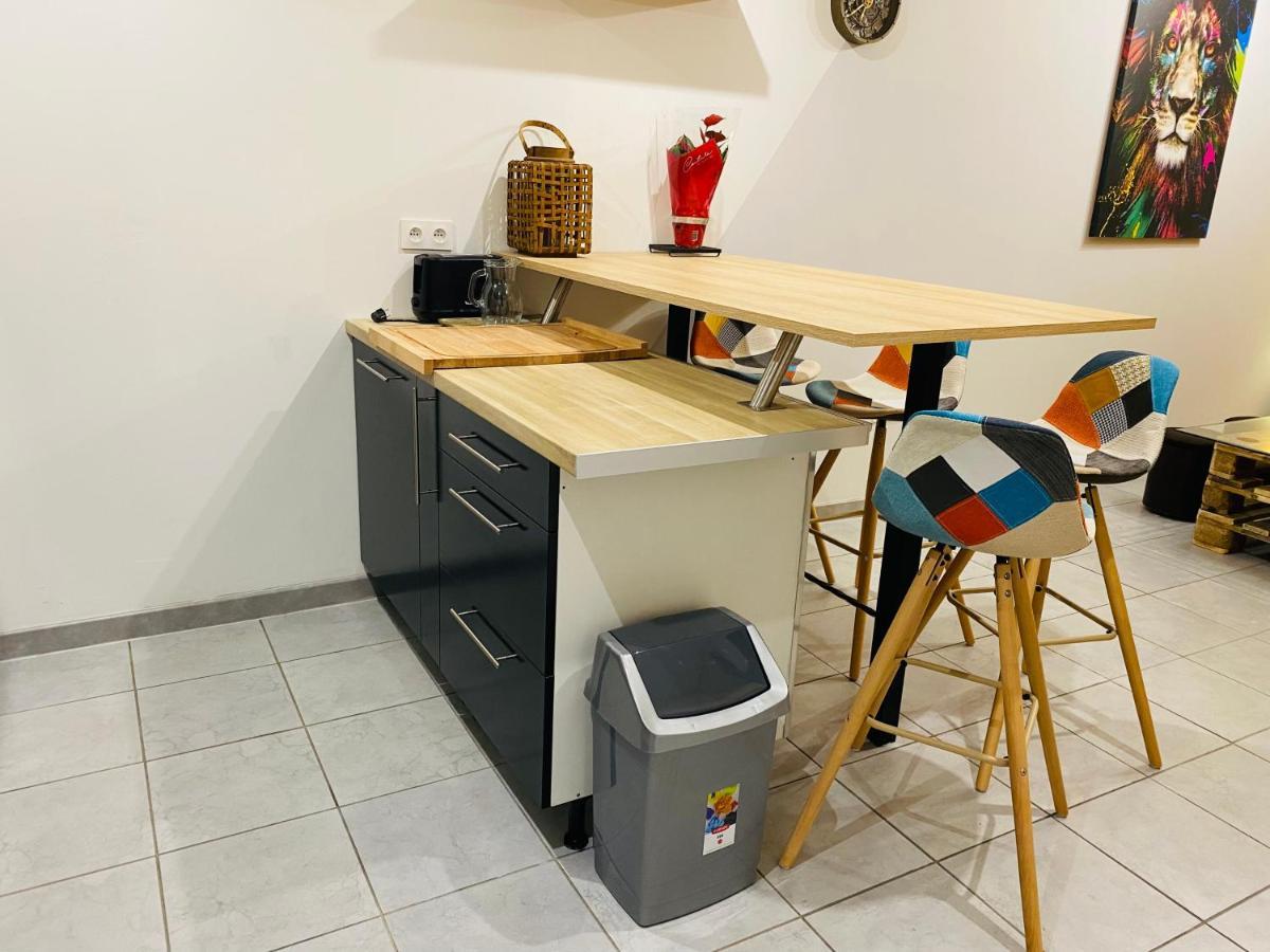 Studio 40M2 Plein Pied Avec Parking Jussac Экстерьер фото